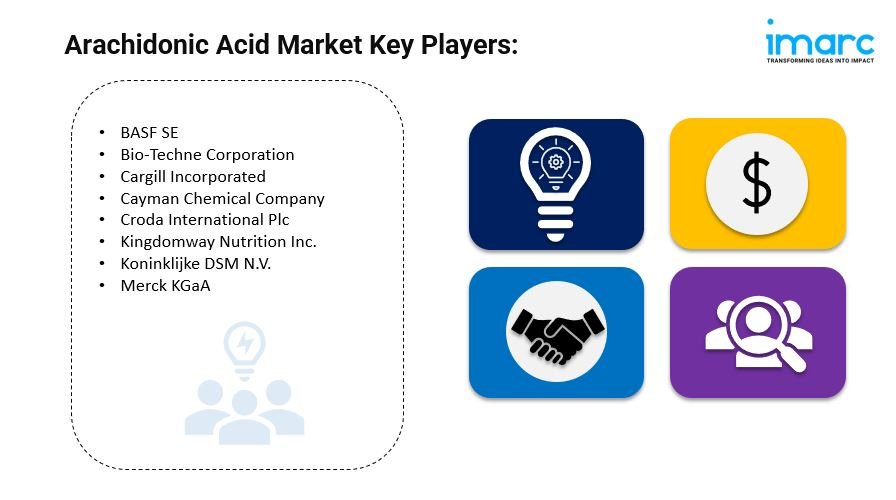 Arachidonic Acid Market